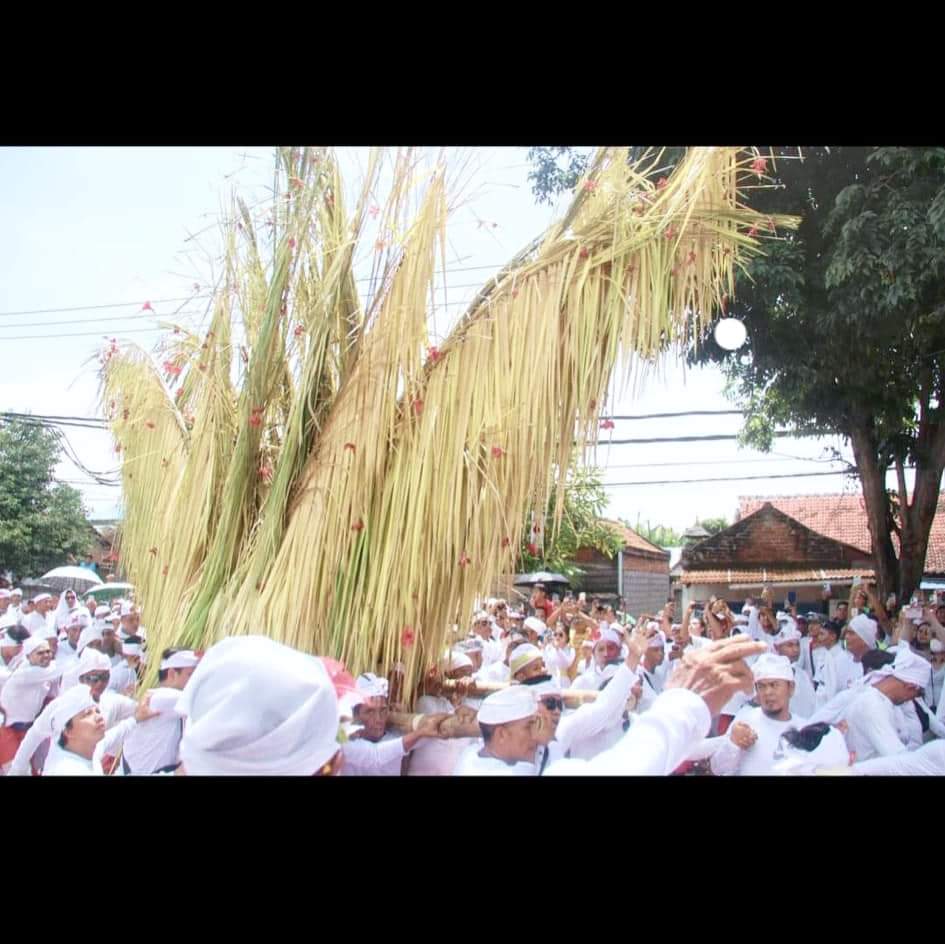 Ratusan Tradisi Buleleng Didata Secara Digital Melalui GENTA