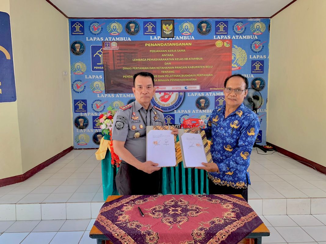 Bekali Napi di Batas RI-RDTL Terampil Bertani, Lapas Atambua Teken MoU Dengan Pemda Belu