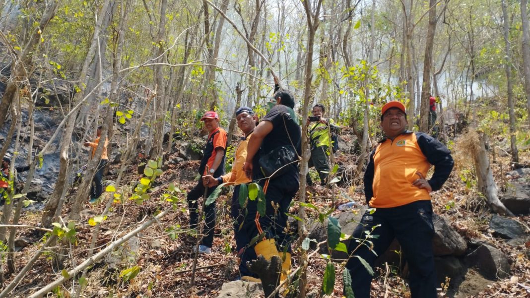 Kolaborasi Atasi Kebakaran Hutan Tejakula