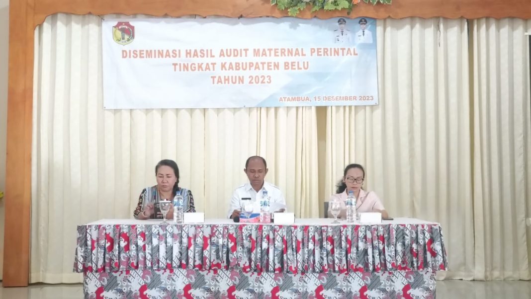 Wabup Alo Haleserens Minta Sinergi Aktif Cegah Kematian Ibu dan Bayi di Kabupaten Belu