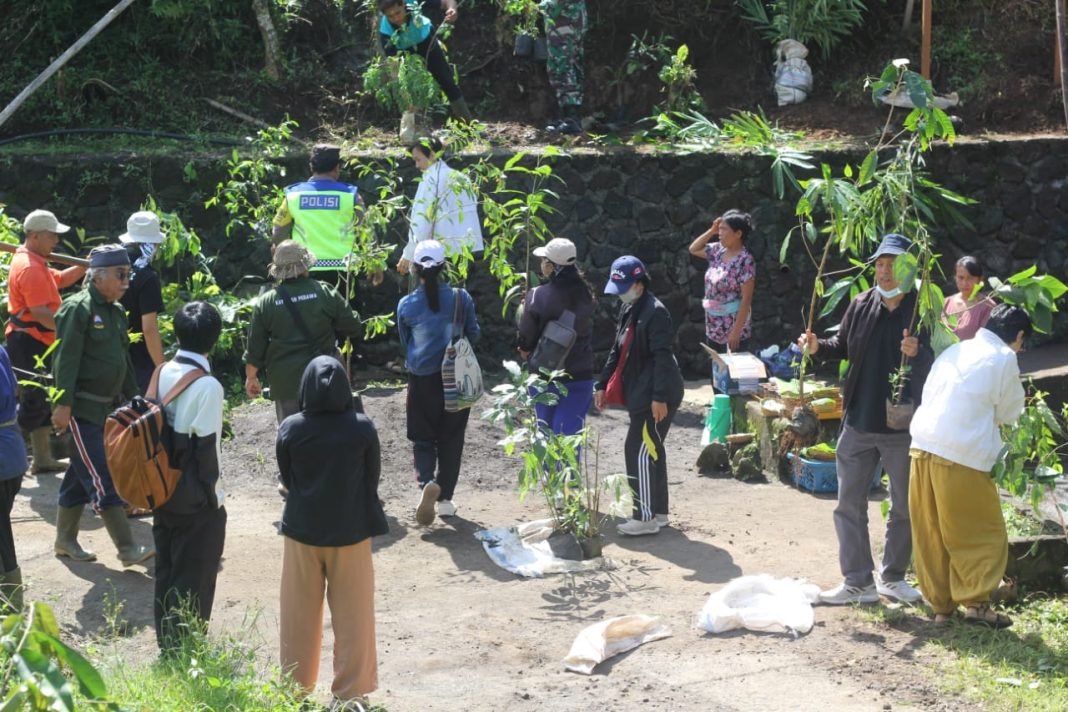 Kolaborasi Internasional: Menanam Pohon untuk Menjaga Ketersediaan Air