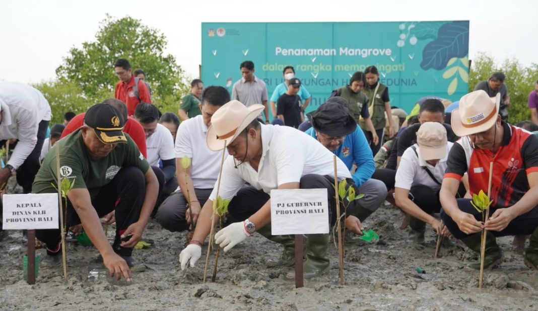 Tanam Mangrove, Pj. Gubernur Mahendra Jaya Apresiasi Kepedulian Masyarakat Terhadap Lingkungan