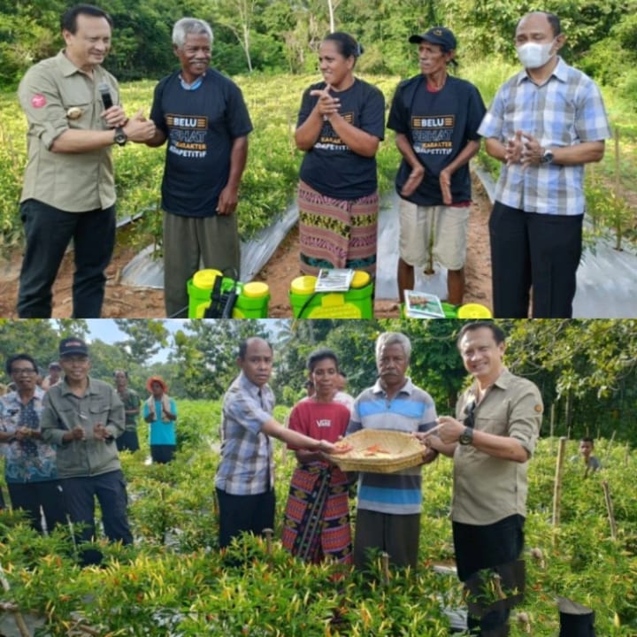 Bupati dan Wabup Belu Kunjungi Kebun Mandiri di Manleten, Warga Senang dan Ucapkan Terimakasih