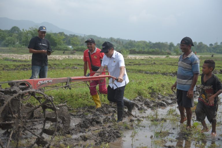 Sambut Musim Tanam, Pemkab Belu Siapkan Anggaran Olah Lahan Gratis bagi Petani
