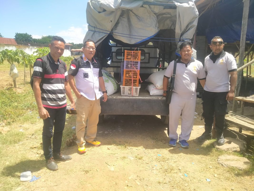 WBP Lapas Atambua Berhasil Kembangkan Bibit, Anak Ayam KUB Didistribusikan ke Tengah Masyarakat