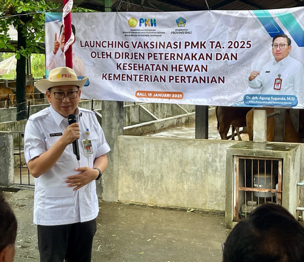 Peluncuran Vaksinasi PMK 2025, Bali Diharapkan Jadi Zona Hijau