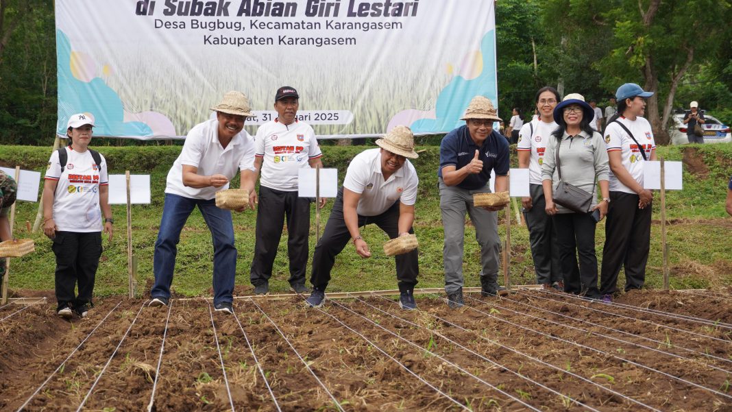 Pj Gubernur Bali Bersama Masyarakat Desa Bugbug Lakukan Gerakan Tanam Padi Gogo