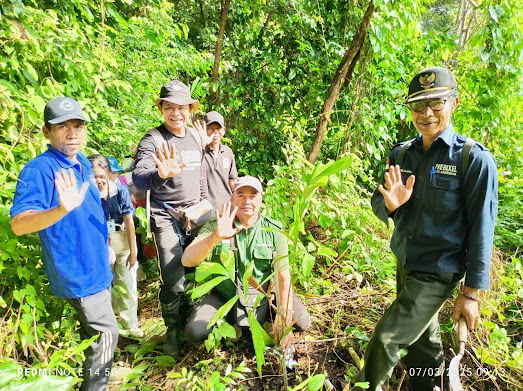 Puluhan Pohon Aren Ditanam, Wujud dan Komitmen Pemkab. Buleleng Jaga Kelestarian Hutan