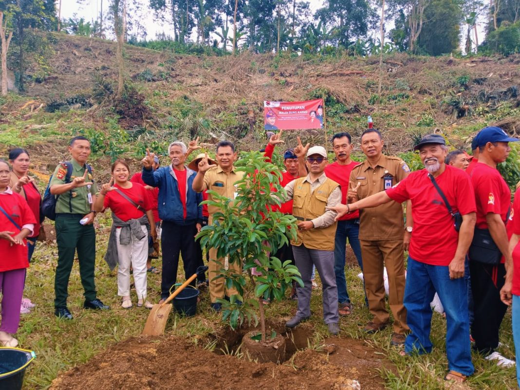26 Ribu Hektar Hutan di Bali Digarap 92 Ribu KK, DKLH Bali Apresiasi Inisiatif Rehabilitasi Hutan dan Lahan (RHL)