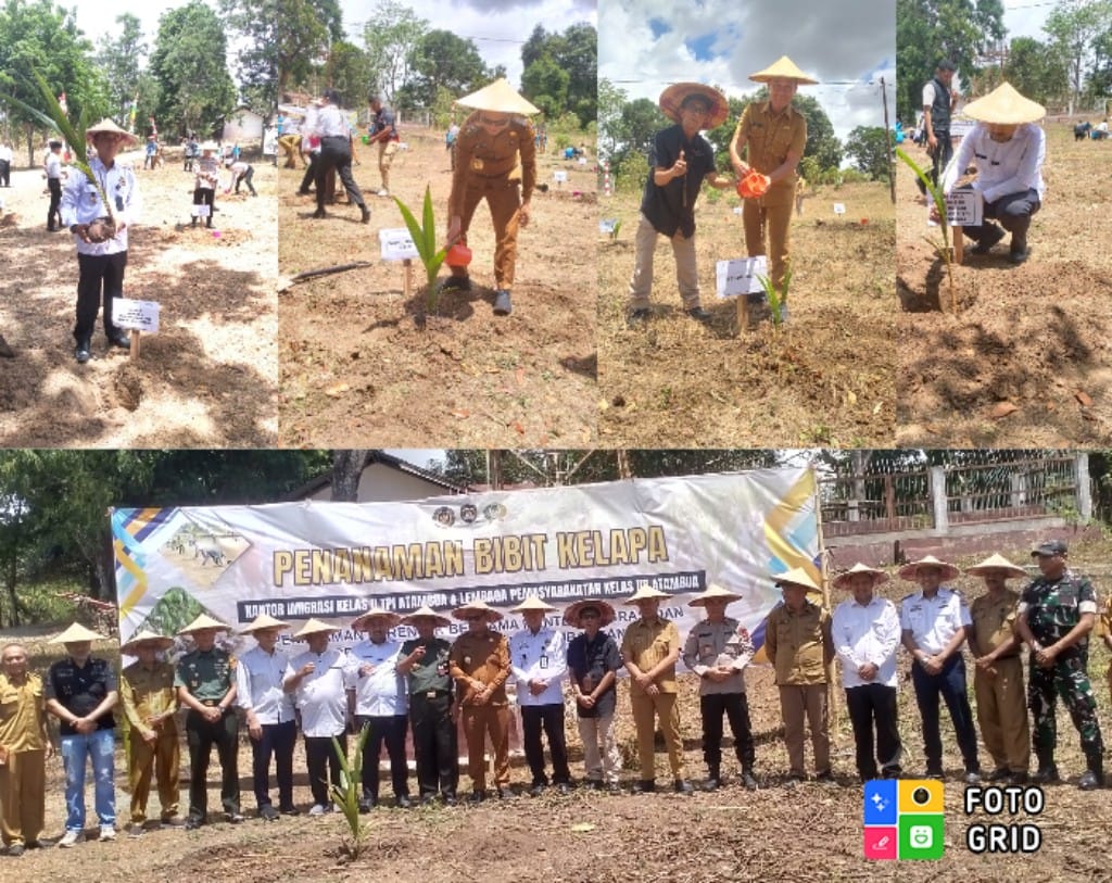 Dukung Program Asta Cita Presiden Prabowo, Lapas dan Imigrasi Atambua Tanam Bibit Kelapa di Wilayah Perbatasan RI-RDTL