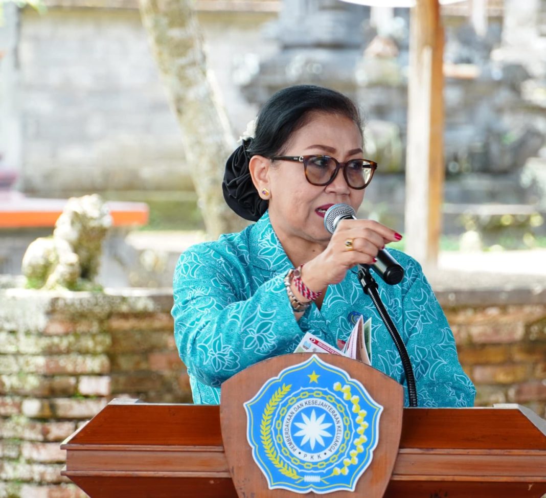 Bangun Sinergi Lintas OPD dan IBI, TP PKK Bali Salurkan Bantuan di Sidemen Karangasem