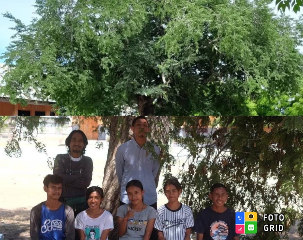 Komunitas Pohon Asam Ponu Gelar Giat Musim Petik Asam