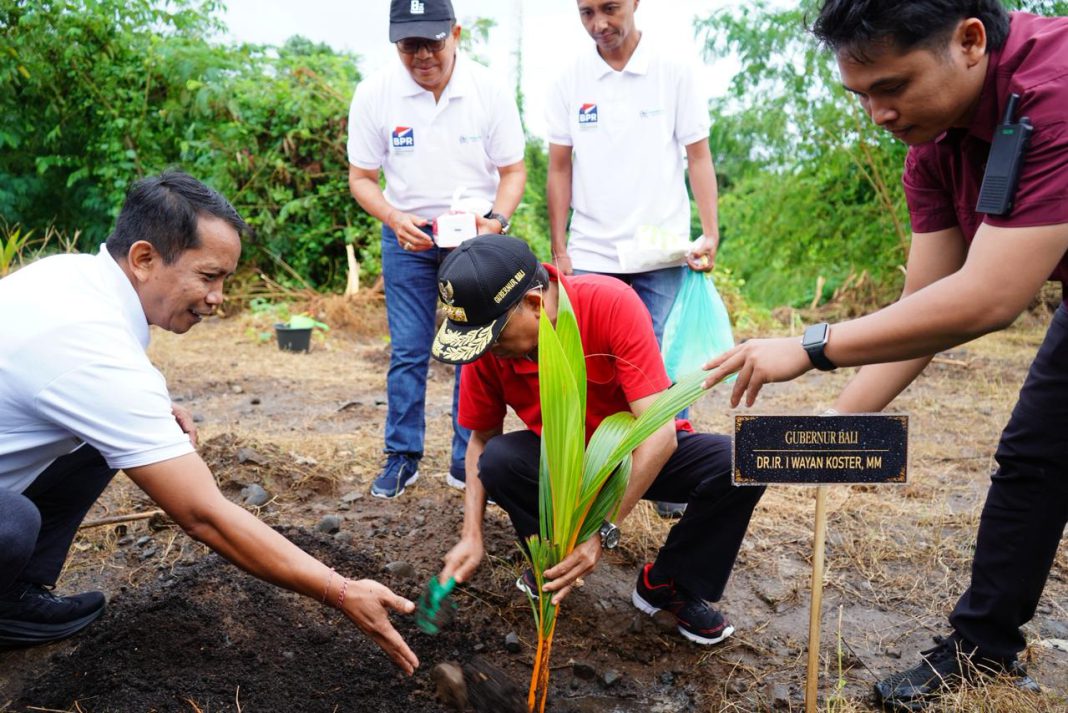 Lestarikan Budaya dan Jaga Lingkungan, Gubernur Koster dan Perbarindo Tanam Ribuan Kelapa Daksina di Tukad Unda