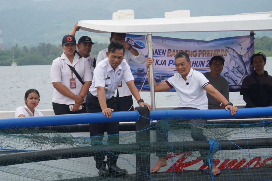 Buleleng Panen Bandeng Perdana, Perkuat Ketahanan Pangan Daerah