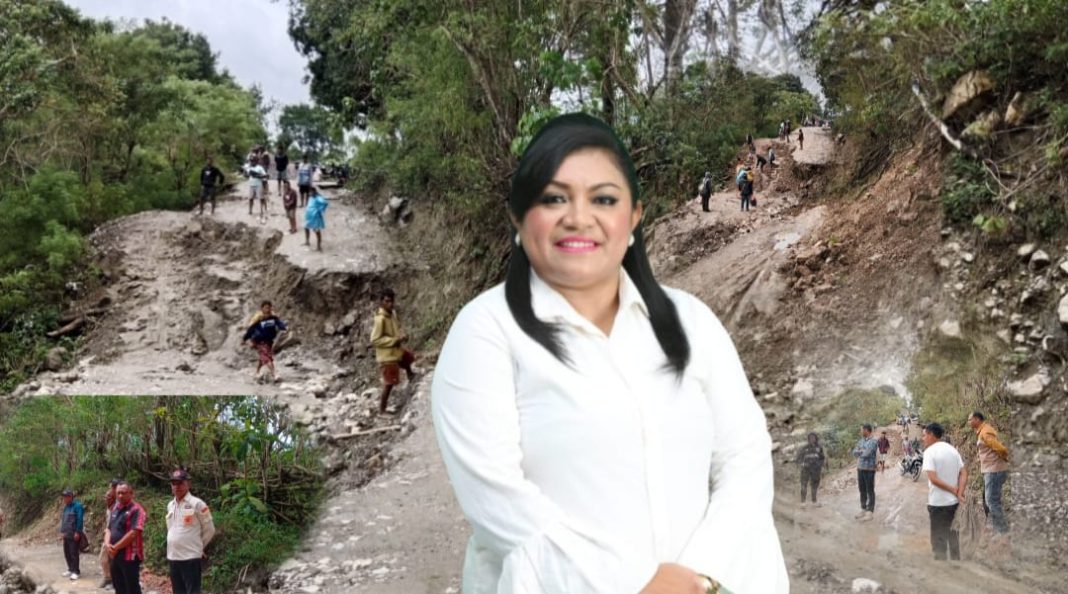 Fraksi Gerindra Kawal Penanganan Bencana: Januaria Awalde Berek Koordinasikan Perbaikan Jalan Alas Moruk – Nanaet dengan Pemda