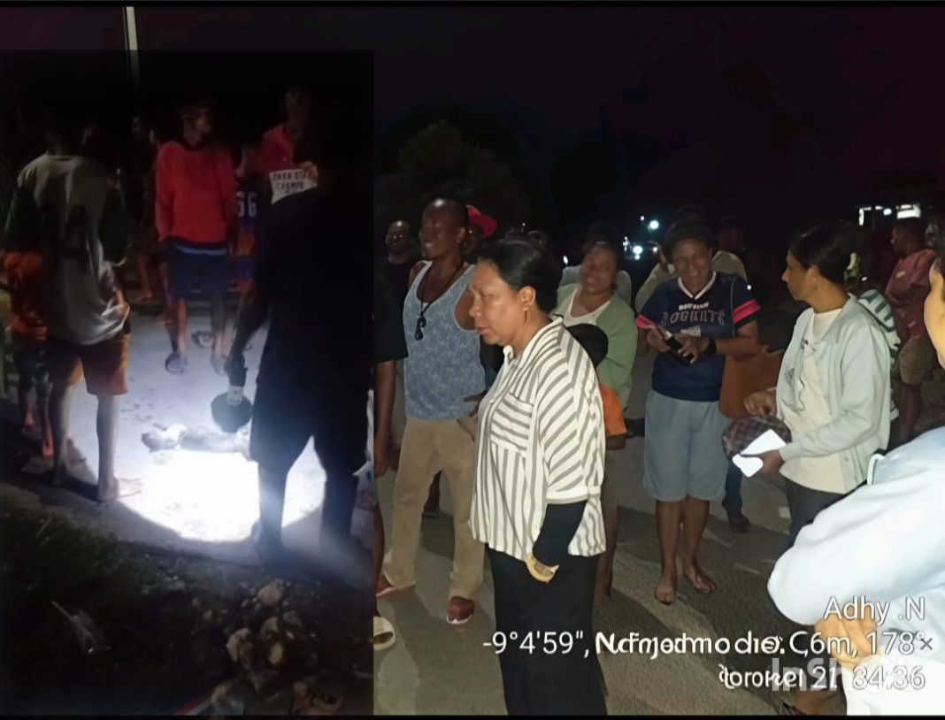 BPBD Belu Gerak Cepat Tangani Kucing Rabies Serang 11 Warga di Kuneru Atambua, 3 Korban Anak-anak