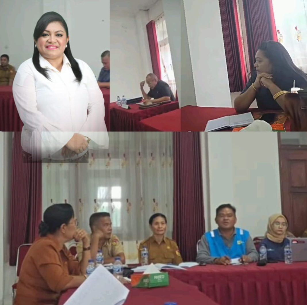 Masih Ada Dusun Tanpa Listrik di Perbatasan RI-Timor Leste, Wakil Ketua I DPRD Belu Dorong PLN Tuntaskan Penerangan di Raimanuk dan Belasan Dusun Lainnya