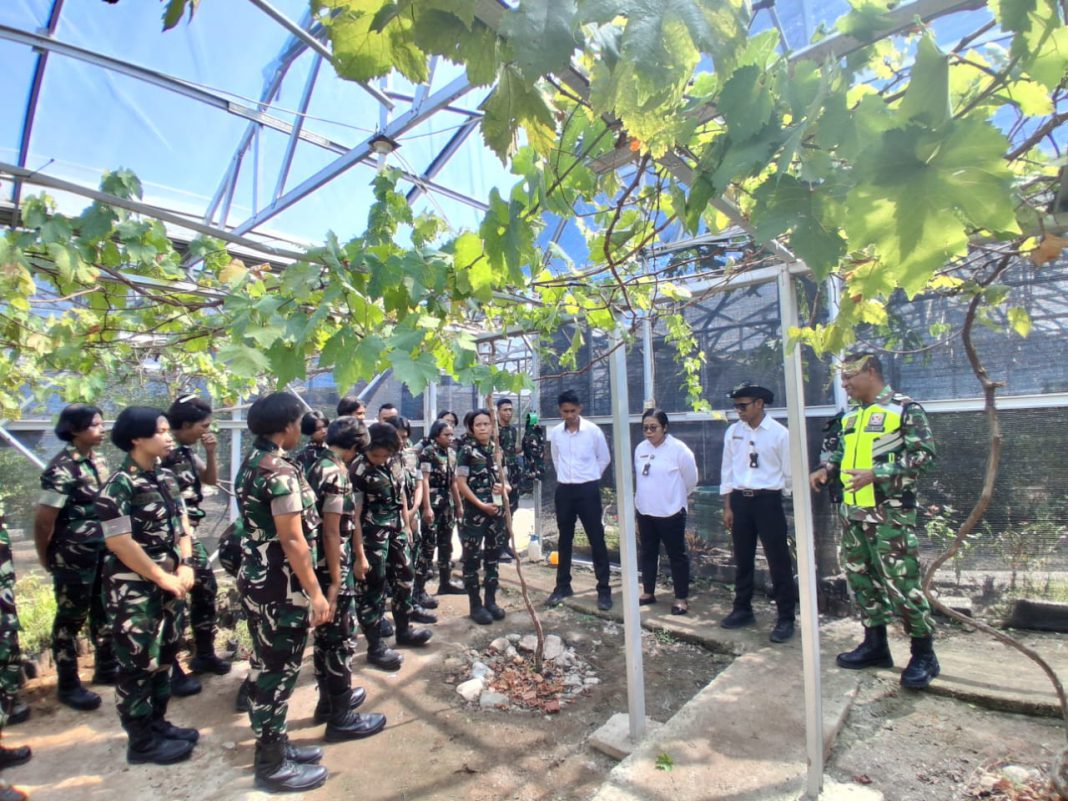 Sinergi Hijau di Tapal Batas, Babinsa Serma Duarte Ajarkan Seni Budidaya Anggur untuk Mahasiswa Unhan RI