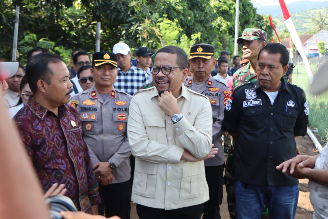 Pemkab Buleleng Perkuat Komitmen Ketahanan Pangan, Sambut Kunjungan Kepala Staf Kepresidenan di Sentra Bawang Gerokgak