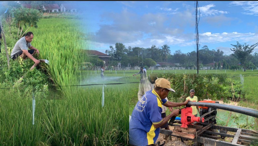 Jaga Lahan Persawahan dari Kekeringan, Lapas Atambua Optimalkan Pompa Air
