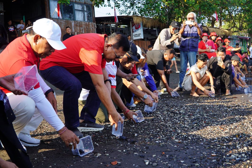 Bupati Sutjidra Dorong Kolaborasi Pelestarian Penyu di Pantai Camplung