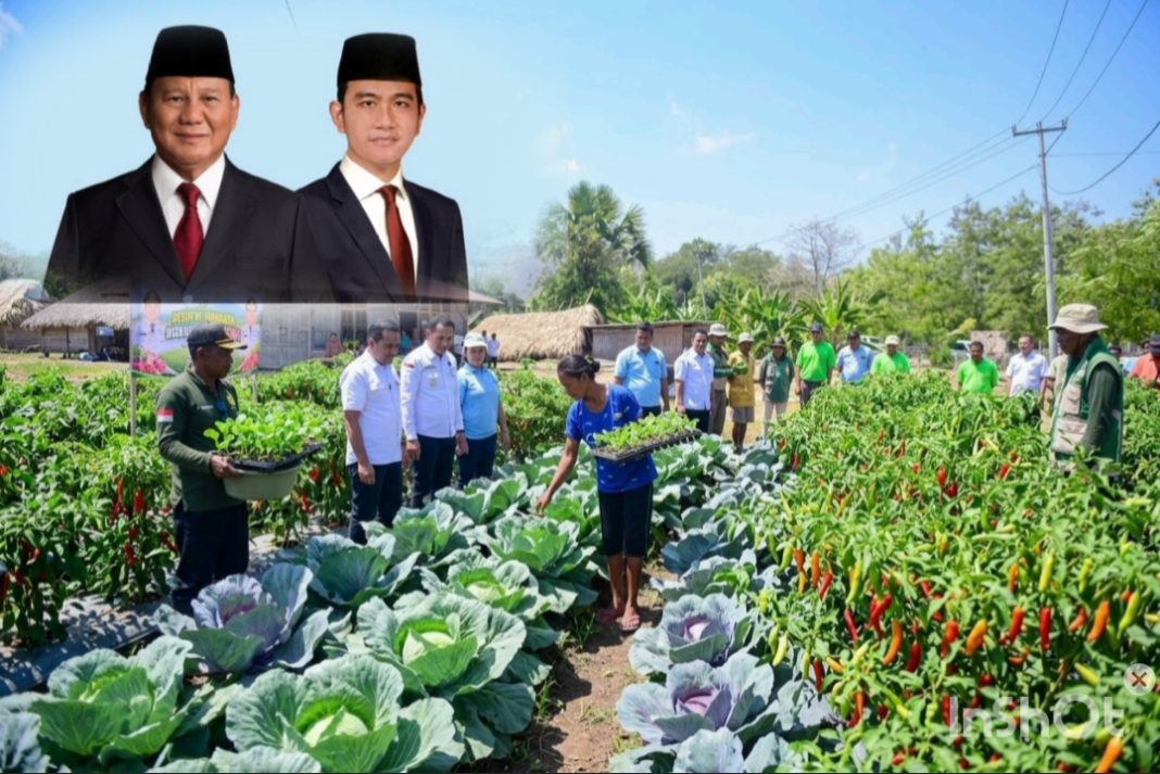 Dua Tahun Kepemimpinan Prabowo-Gibran, Swasembada Pangan Menjalar hingga Beranda Depan NKRI di Belu