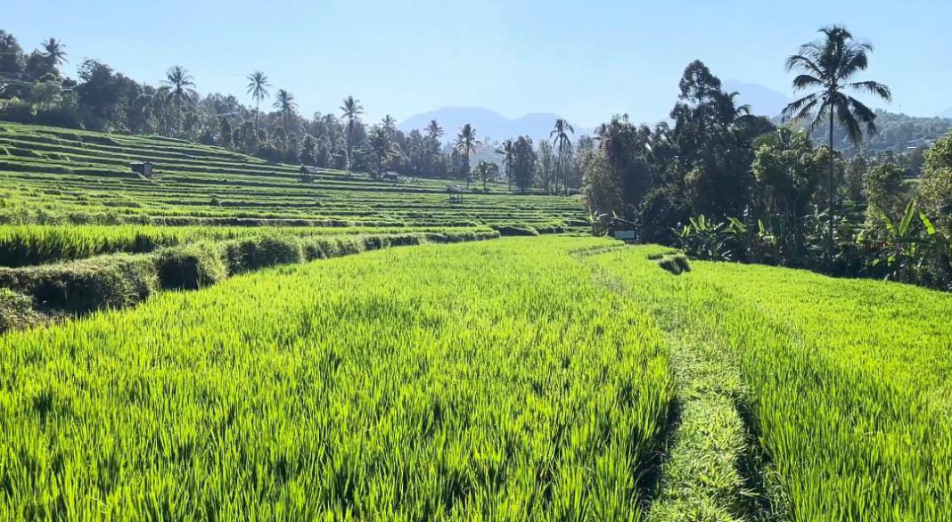 Kawinkan Potensi Alam dan Sejarah, Desa Bengkel Siap Terima Kunjungan Wisatawan 